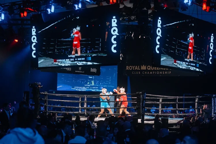 Toybox Boxing